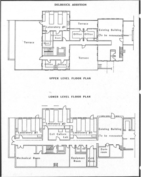 Delbrück Laboratory6