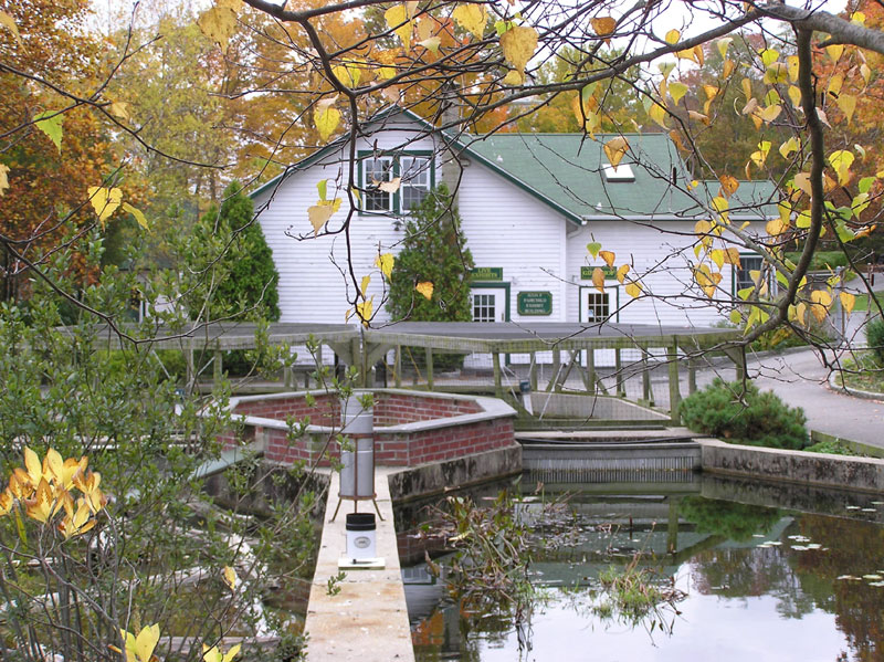 Fish Hatchery5