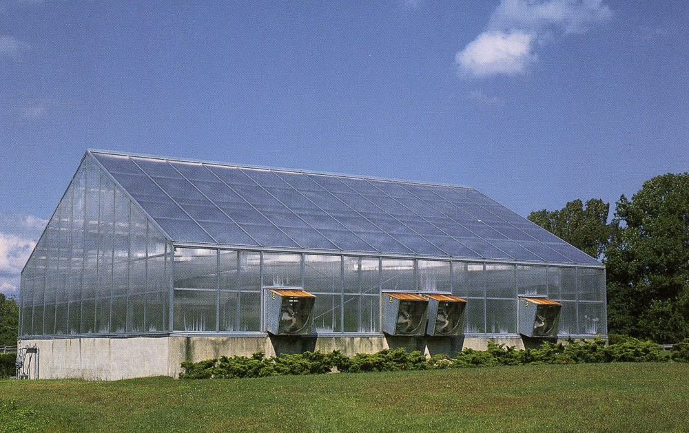 Greenhouse at Upland Farms3