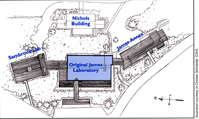 Sambrook Laboratory6