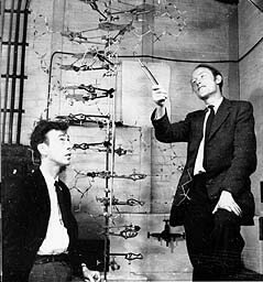 Watson and Crick, 1953