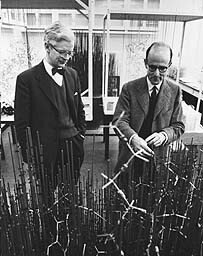 John Kendrew (left) and Max Perutz 