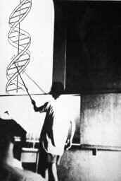 Watson presenting paper 1953 Symposium