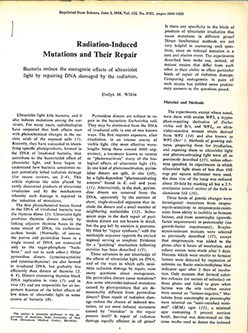 Thesis and dissertation in food microbiology